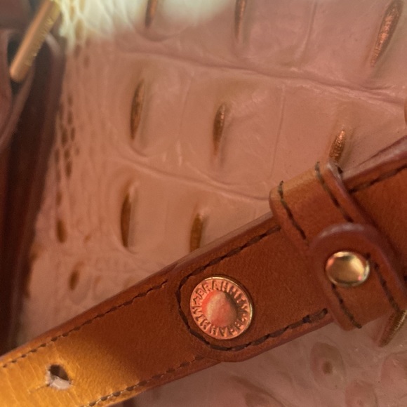 Brahmin - Picture 6 of 10